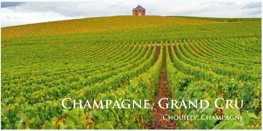 シャンパーニュ、グラン・クリュ (Champagne, Grand Cru)