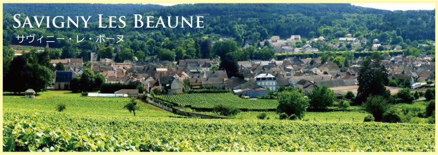 サヴィニー・レ・ボーヌ (Savigny-les-Beaune) の風景