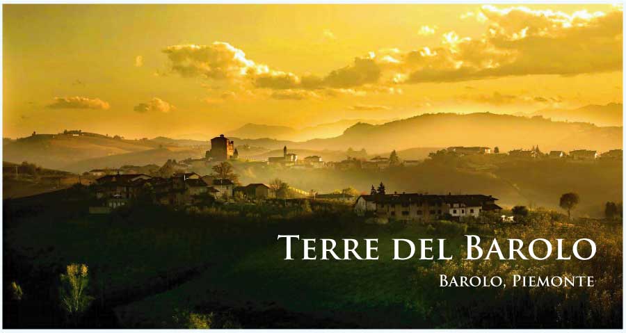 テッレ・デル・バローロ (Terre del Barolo)