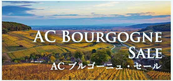  AC ブルゴーニュ・セール (AOC Bourgogne Sale)
