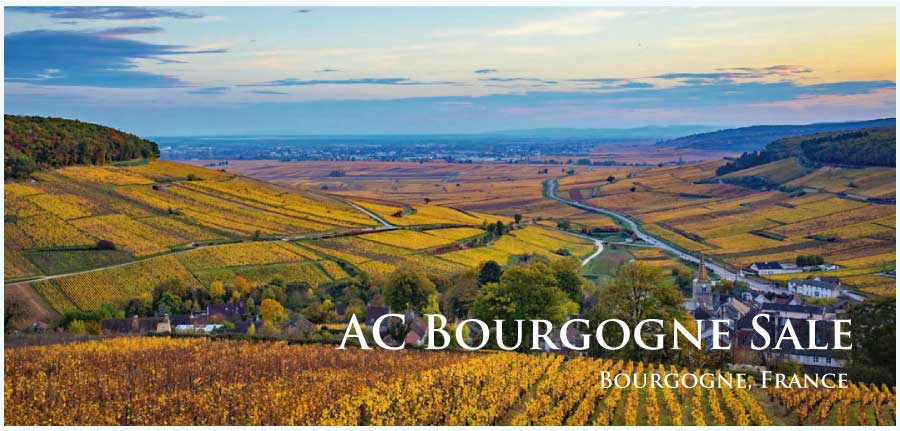 AC ブルゴーニュ (AOC Bourgogne)