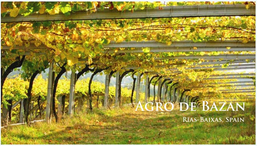 アグロ・デ・バザン (Agro de Bazan)