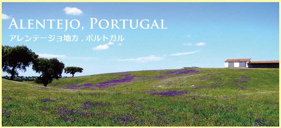アレンテージョ地方の風景 アレンテージョ地方の風景