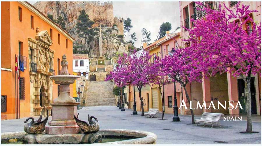 アルマンサのぶどう畑 (スペイン・アルマンサ) アルマンサのぶどう畑 (スペイン・アルマンサ)