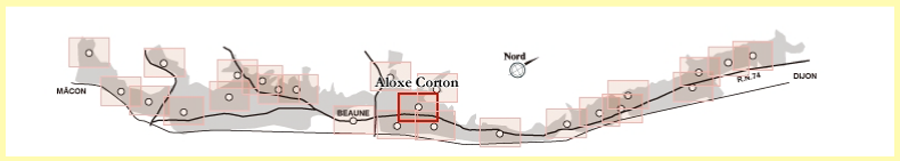 アロース・コルトンの位置　ブルゴーニュの地図