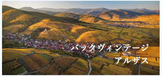 アルザス (Alsace)