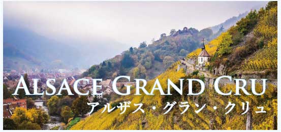 アルザス・グラン・クリュ (Alsace Grand Cru, 特級畑)