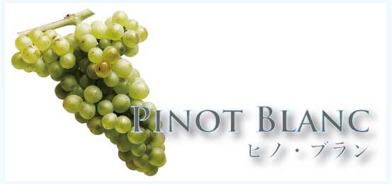 ピノ・ブラン (Pinot Blanc)