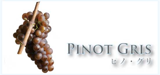 ピノ・グリ (Pinot Gris)