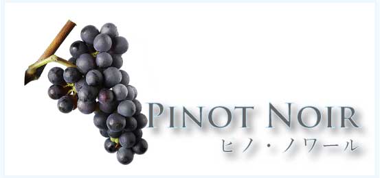 ピノ・ノワール (Pinot Noir)