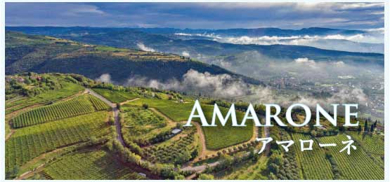 アマローネ (Amarone)