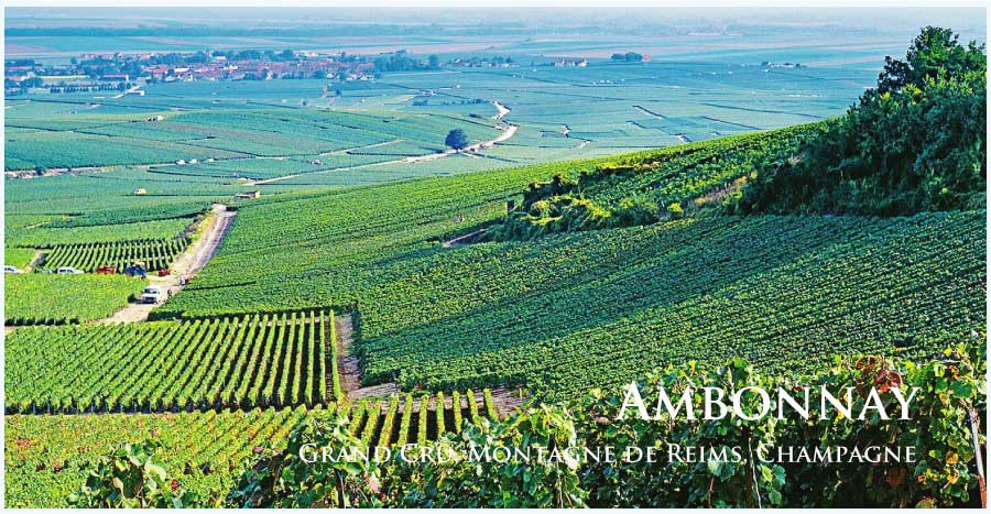 アンボネイ (Ambonnay)