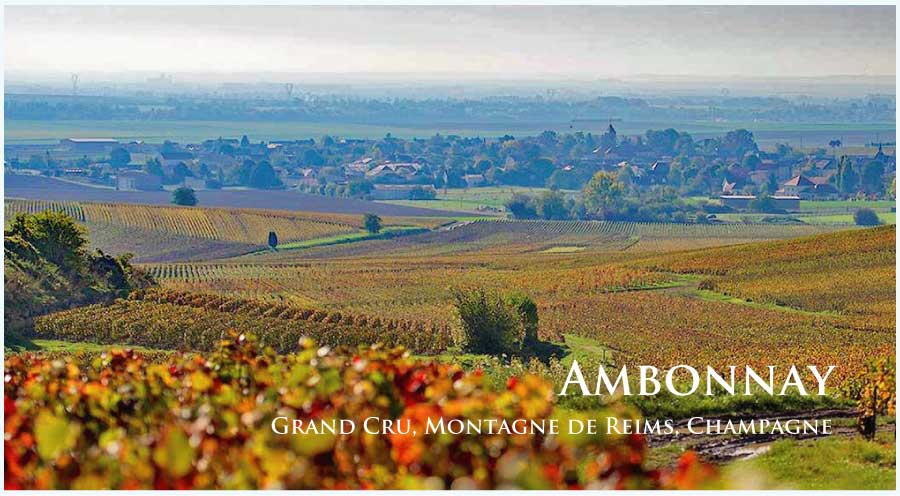 アンボネイ (Ambonnay)