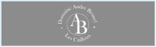 アンドレ・ブルネル (Andre Brunel) のワインを検索