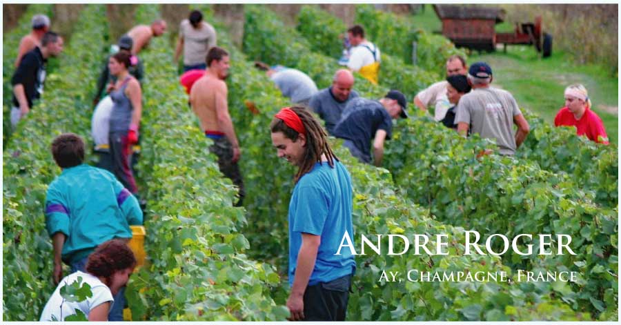 アンドレ・ロジェ (Andre Roger) フランス、シャンパーニュ アンドレ・ロジェ (Andre Roger) フランス、シャンパーニュ