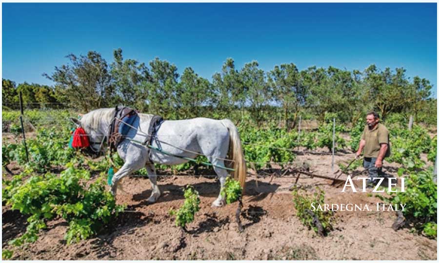 アッツェイ (Atzei) イタリア、サルデーニャ