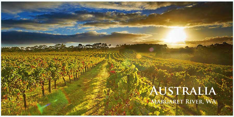オーストラリアのワイン (Australia Wine)