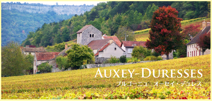 オーセイ・デュレス (Auxey-Duresses)  の風景