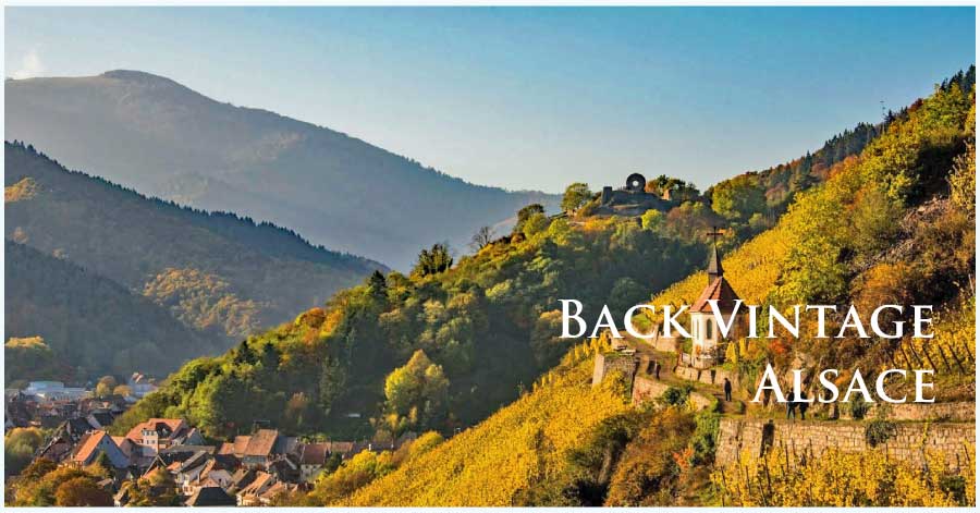 ワイン通販　レ・ブルジョン　バックヴィンテージ・ワイン特集!!