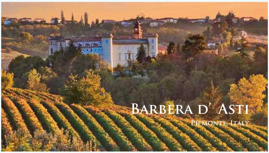 イタリア、ピエモンテ、バルベラ・ダスティのぶどう畑 イタリア、ピエモンテ、バルベラ・ダスティのぶどう畑
