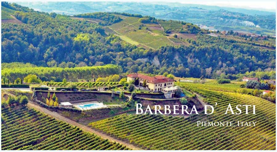 イタリア、ピエモンテ、バルベラ・ダスティのぶどう畑 イタリア、ピエモンテ、バルベラ・ダスティのぶどう畑