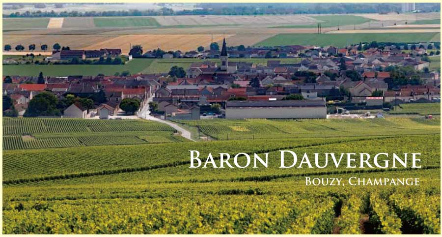 バロン・ドーヴェルニュ (Baron Dauvergne) バロン・ドーヴェルニュ (Baron Dauvergne)