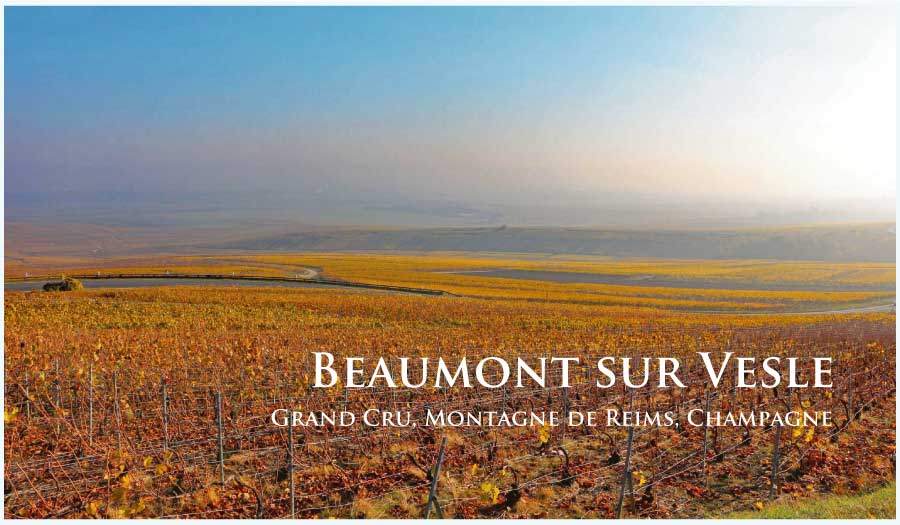 ボーモン・シュル・ヴェル (Beaumont sur Vesle) ボーモン・シュル・ヴェル (Beaumont sur Vesle)