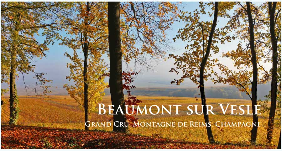 ボーモン・シュル・ヴェル (Beaumont sur Vesle) ボーモン・シュル・ヴェル (Beaumont sur Vesle)