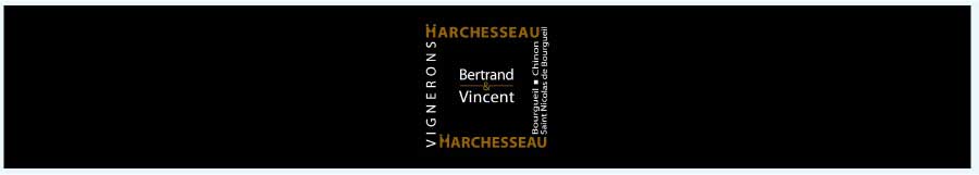 ベルトラン＆ヴァンサン・マルシュソー （Bertrand & Vincent Marchesseau)