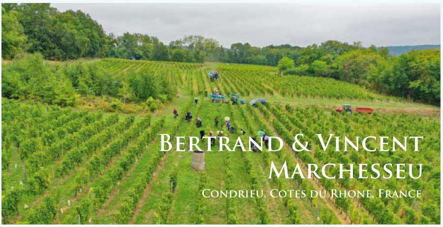 ベルトラン＆ヴァンサン・マルシュソー （Bertrand & Vincent Marchesseau)