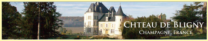 シャトー・ド・ブリニ (Chateau de Bligny)