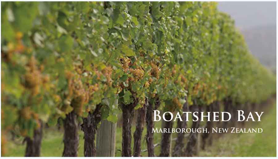 ボートシェッド・ベイ (Boatshed Bay) ニュージーランド、南島、マールボロ ボートシェッド・ベイ (Boatshed Bay) ニュージーランド、南島、マールボロ