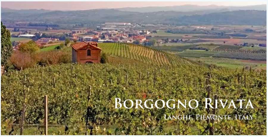 ボルゴーニョ・リヴァータ (Borgogno Rivata) イタリア、ピエモンテ、ランゲ