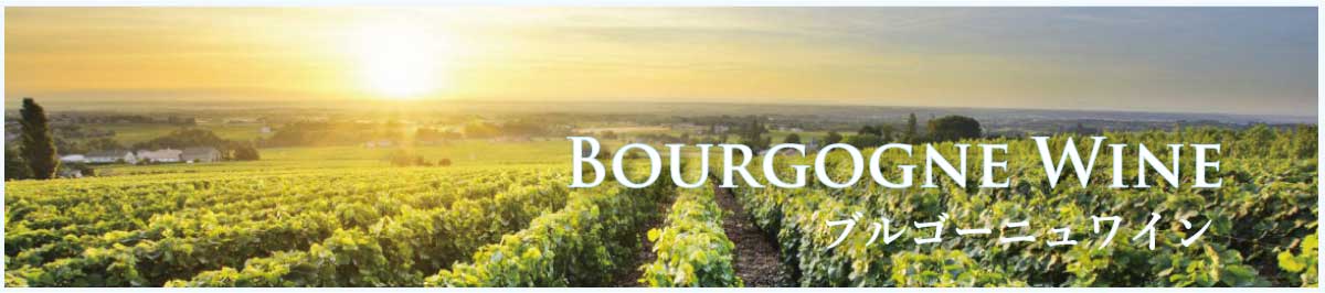 ブルゴーニュ・ワイン(Bourgogne Wine)