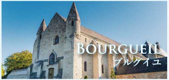ブルグイユ (Bourgueil) ブルグイユ (Bourgueil)