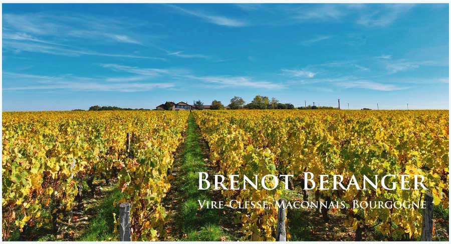 ブレノ・ベランジェのあるヴィレ・クレッセのぶどう畑