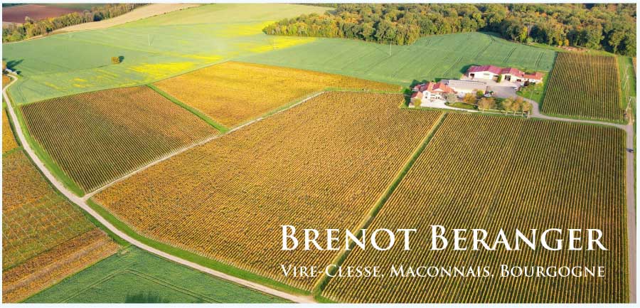 ヴィレ・クレッセの街並みとぶどう畑