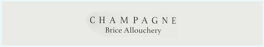 ブリス・アルーシュリー (Brice Allouchery)