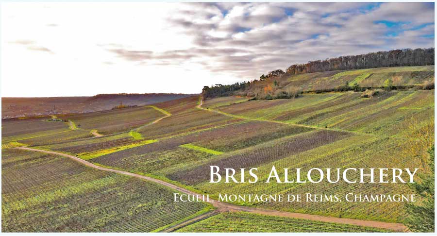 ブリス・アルーシュリー (Brice Allouchery)