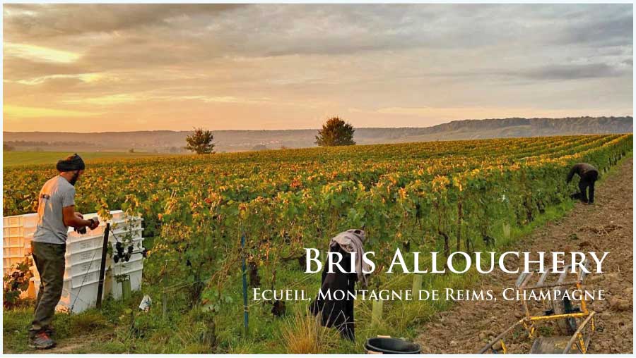 ブリス・アルーシュリー (Brice Allouchery)