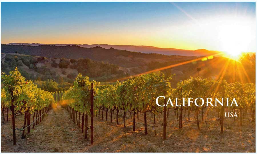 カリフォルニア (California) ワイン通販 レ・ブルジョン