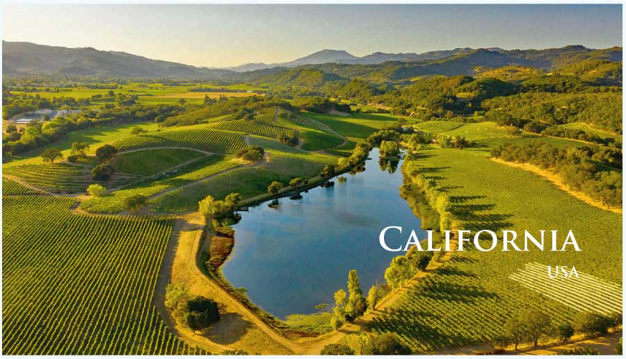 カリフォルニアのぶどう畑 (カリフォルニア) カリフォルニアのぶどう畑 (カリフォルニア)