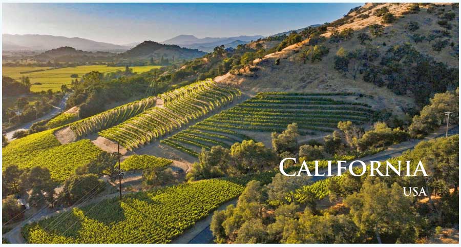 カリフォルニアのぶどう畑 (カリフォルニア) カリフォルニアのぶどう畑 (カリフォルニア)