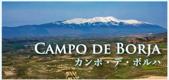 カンポ・デ・ボルハ (Campo de Borja)