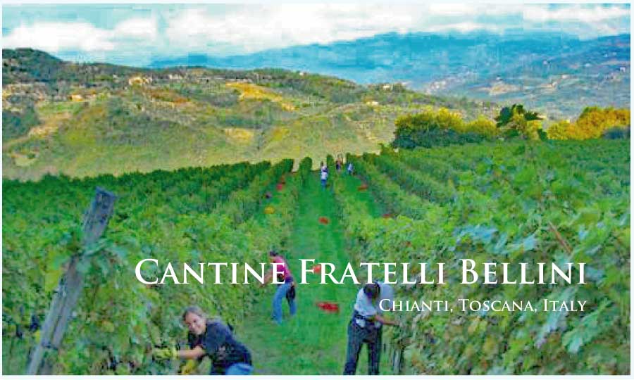 カンティーナ・フラテリ・ベリーニ (Cantine Fratelli Bellini) イタリア、トスカーナ カンティーナ・フラテリ・ベリーニ (Cantine Fratelli Bellini) イタリア、トスカーナ