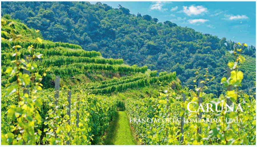 カルーナ (Caruna) イタリア、ロンバルディア、フランチャコルタ
