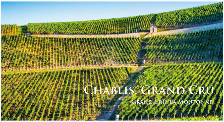 シャブリ・グラン・クリュ (Chablis, Grand Cru, 特級畑)、ラ・ムートンヌ (La Moutonne)