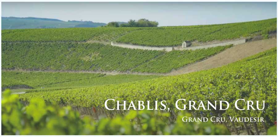 シャブリ・グラン・クリュ (Chablis, Grand Cru, 特級畑)、ラ・ムートンヌ (La Moutonne)