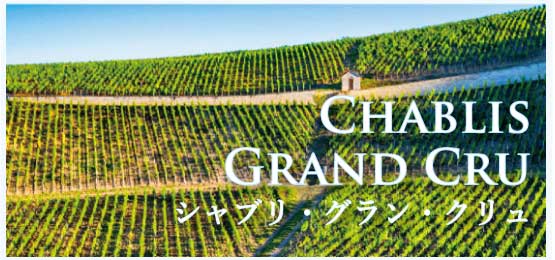 シャブリ・グラン・クリュ (Chablis Grand Cru, 特級畑)