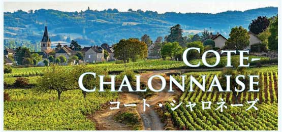 コート・シャロネーズ (Cote Chalonnaise)